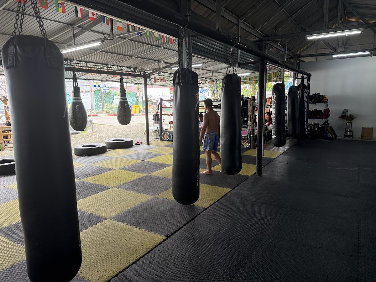 Titan Fight Club gym equipment and training bags